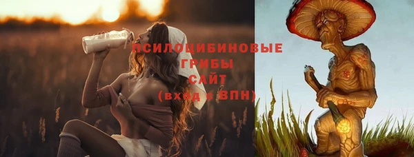 спиды Заводоуковск