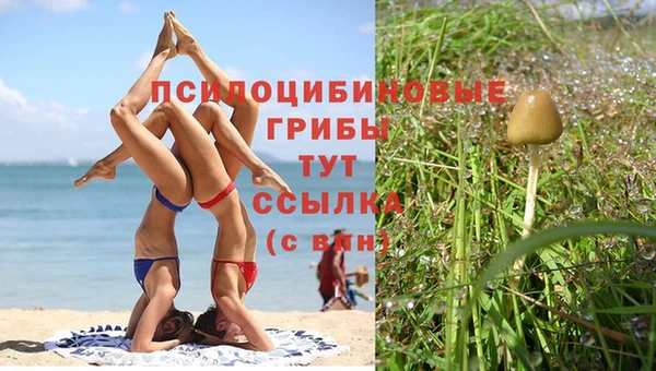 спиды Заводоуковск