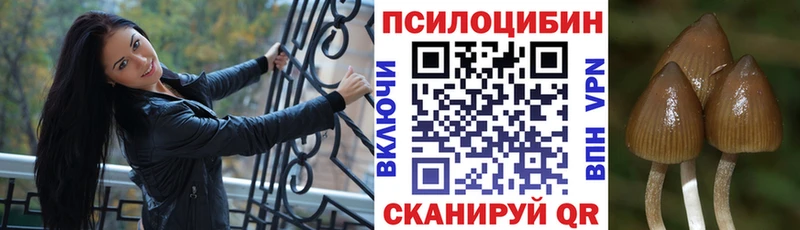 Купить  Ишим  Псилоцибиновые грибы мухоморы 
