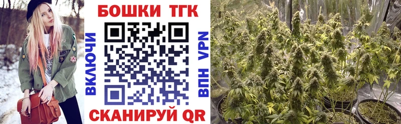 Купить где Ишим Конопля White Widow